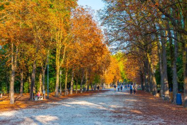 Parma, İtalya, 24 Eylül 2021: Parco Ducale 'de gezinen insanlar.