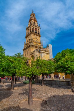 Cordoba, İspanya, 25 Mayıs 2021: İspanya 'nın Cordoba kentindeki La mezquita katedralinin avlusunda bulunan portakal ağaçları arasında yürüyorlar.