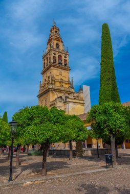 Cordoba, İspanya, 25 Mayıs 2021: İspanya 'nın Cordoba kentindeki La mezquita katedralinin avlusunda bulunan portakal ağaçları arasında yürüyorlar.