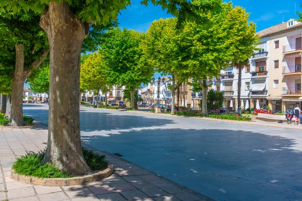 Baeza Espanha Maio 2021 Paseo Constitucion Cidade Espanhola Baeza — Fotografia de Stock