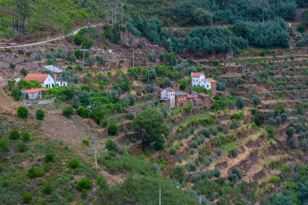 Krajobraz Pasma Górskiego Serra Acor Portugalii — Zdjęcie stockowe