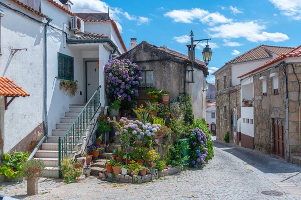 Rue Étroite Dans Vieille Ville Belmonte Portugal — Photo