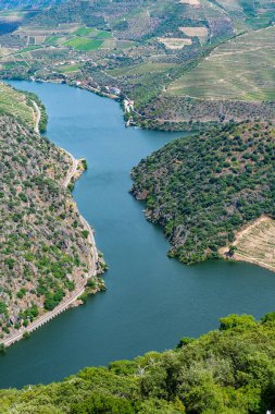Portekiz 'deki Miradouro de Sao Salvador do Mundo yakınlarındaki Douro Vadisi manzarası..