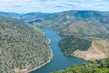 Portekiz 'deki Miradouro de Sao Salvador do Mundo yakınlarındaki Douro Vadisi manzarası..
