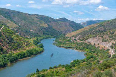 Portekiz 'deki Miradouro de Sao Salvador do Mundo yakınlarındaki Douro Vadisi manzarası..