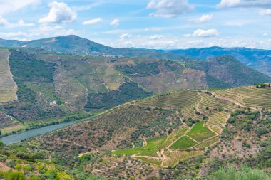 Portekiz 'deki Miradouro de Sao Salvador do Mundo yakınlarındaki Douro Vadisi manzarası..