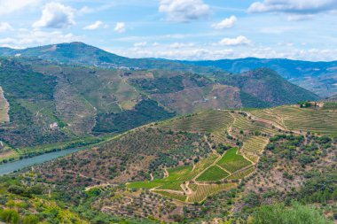 Portekiz 'deki Miradouro de Sao Salvador do Mundo yakınlarındaki Douro Vadisi manzarası..
