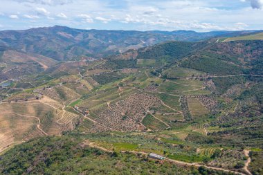 Portekiz 'deki Miradouro de Sao Salvador do Mundo yakınlarındaki Douro Vadisi manzarası..
