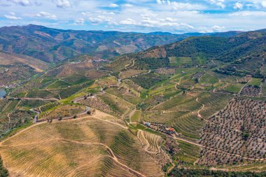 Portekiz 'deki Miradouro de Sao Salvador do Mundo yakınlarındaki Douro Vadisi manzarası..