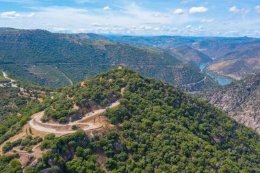 Portekiz 'deki Miradouro de Sao Salvador do Mundo yakınlarındaki Douro Vadisi manzarası..