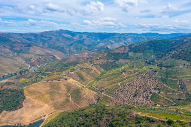 Portekiz 'deki Miradouro de Sao Salvador do Mundo yakınlarındaki Douro Vadisi manzarası..