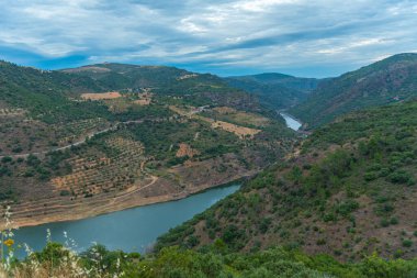 Portekiz 'deki Douro Vadisi' nin resimli manzarası..