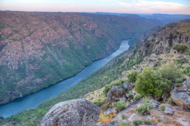 Carrascalinho 'nun Portekiz' deki Douro Nehri üzerindeki bakış açısı.