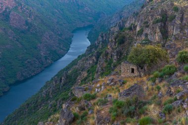 Carrascalinho 'nun Portekiz' deki Douro Nehri üzerindeki bakış açısı.