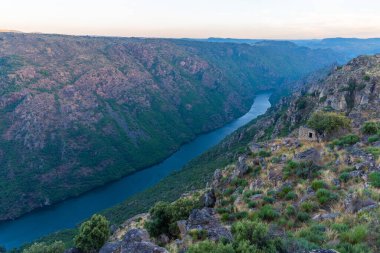 Carrascalinho 'nun Portekiz' deki Douro Nehri üzerindeki bakış açısı.