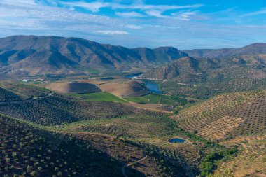 Portekiz 'de Douro nehrinin üzerindeki Sapinha bakış açısı.