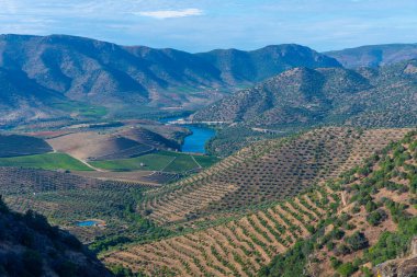 Portekiz 'de Douro nehrinin üzerindeki Sapinha bakış açısı.