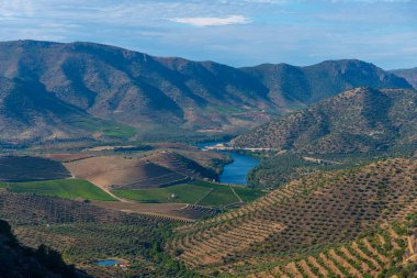 Portekiz 'de Douro nehrinin üzerindeki Sapinha bakış açısı.