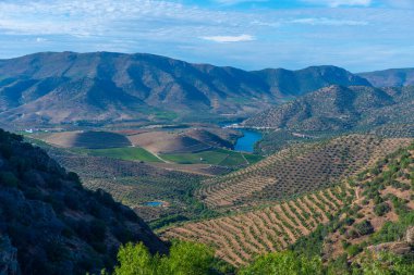 Portekiz 'de Douro nehrinin üzerindeki Sapinha bakış açısı.