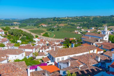 Portekiz 'deki Obidos şatosundaki evlerin çatıları.