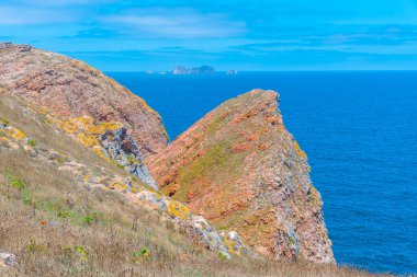 Portekiz 'deki Berlenga Grande Adası' nın sert kıyıları.