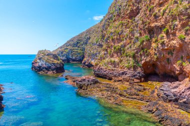 Portekiz 'deki Berlenga Grande Adası' nın sert kıyıları.