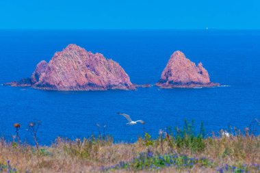 Portekiz 'deki Berlenga Grande Adası' nın sert kıyıları.