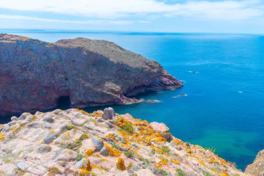 Portekiz 'deki Berlenga Grande Adası' nın sert kıyıları.