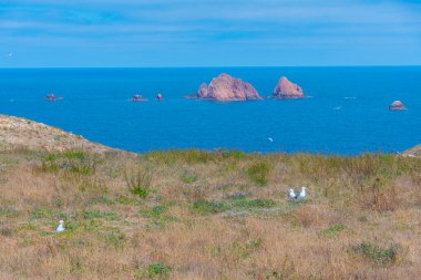 Portekiz 'deki Berlenga Grande Adası' nın sert kıyıları.
