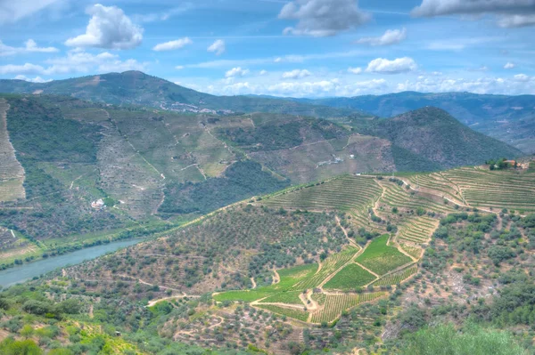 Portekiz 'deki Miradouro de Sao Salvador do Mundo yakınlarındaki Douro Vadisi manzarası..