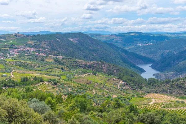 Portekiz 'deki Miradouro de Sao Salvador do Mundo yakınlarındaki Douro Vadisi manzarası..