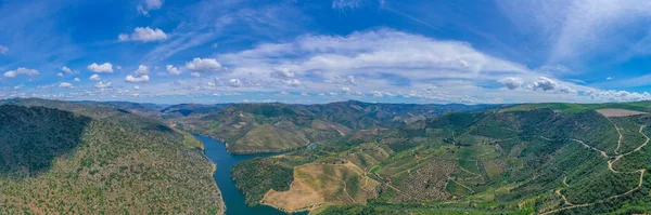Malerisches Panorama Des Douro Tals Bei Miradouro Sao Salvador Mundo — Stockfoto