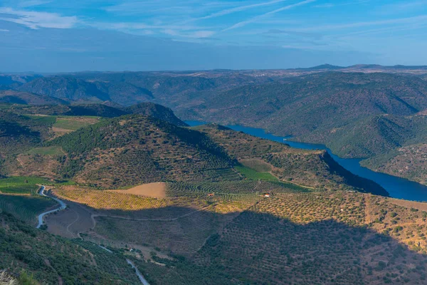 Portekiz 'deki Douro Vadisi' nin resimli manzarası..