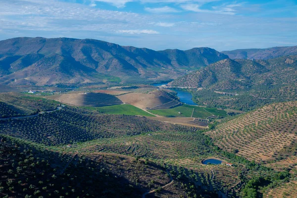 Portekiz 'de Douro nehrinin üzerindeki Sapinha bakış açısı.