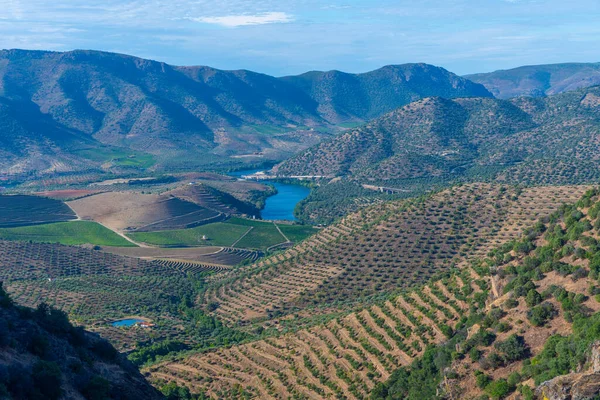 Portekiz 'de Douro nehrinin üzerindeki Sapinha bakış açısı.
