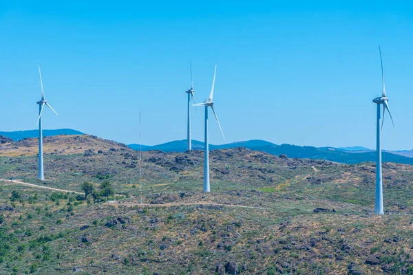 Portekiz 'in Sortelha kasabasında rüzgar türbinleri.