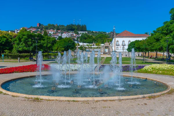 Miejski Ogród Castelo Branco Portugalii — Zdjęcie stockowe