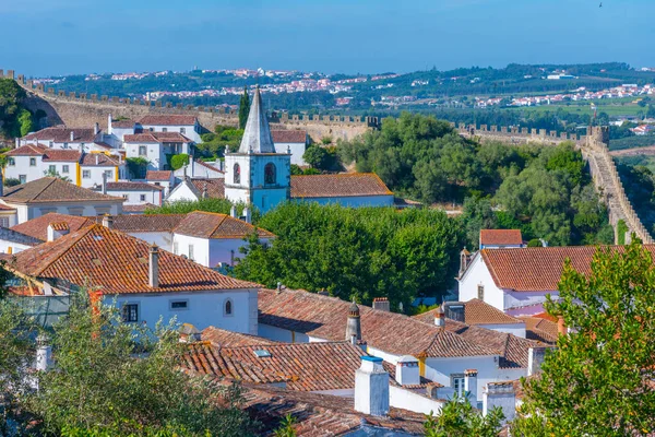 Στέγες Σπιτιών Στο Κάστρο Obidos Στην Πορτογαλία — Φωτογραφία Αρχείου