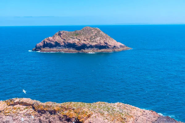 Portekiz 'deki Berlenga Grande Adası' nın sert kıyıları.