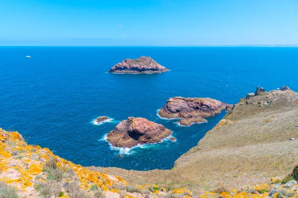 Portekiz 'deki Berlenga Grande Adası' nın sert kıyıları.