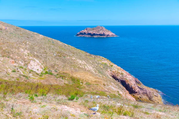 Portekiz 'deki Berlenga Grande Adası' nın sert kıyıları.