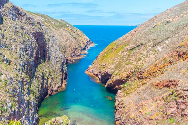 Portekiz 'deki Berlanga Grande Adası' nın bir körfezi manzarası.