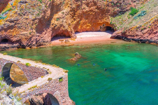 Portekiz 'deki Berlenga Grande Adası' nın sert kıyıları.
