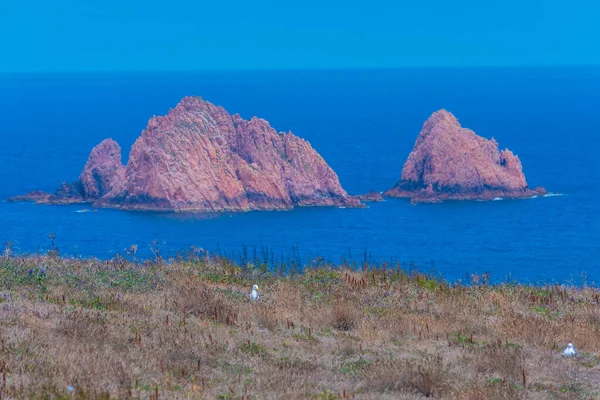 Portekiz 'deki Berlenga Grande Adası' nın sert kıyıları.