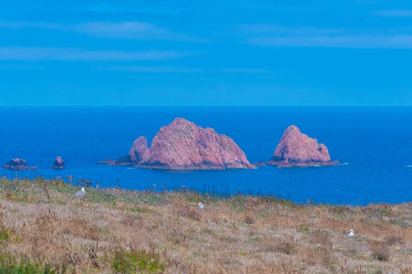Portekiz 'deki Berlenga Grande Adası' nın sert kıyıları.