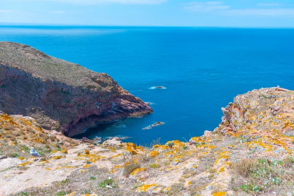 Portekiz 'deki Berlenga Grande Adası' nın sert kıyıları.