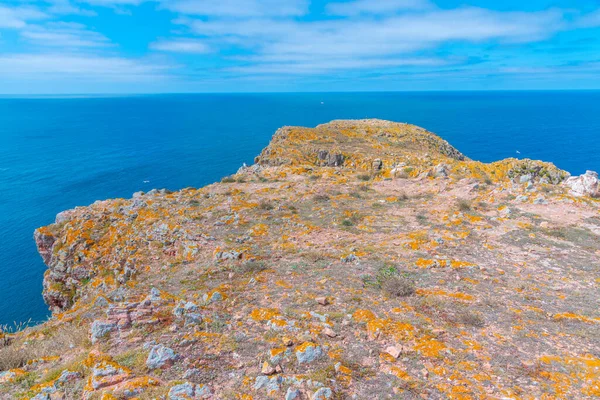 Portekiz 'deki Berlenga Grande Adası' nın sert kıyıları.