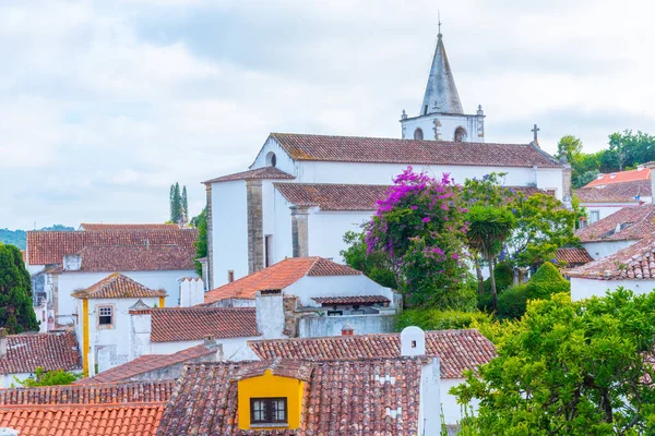 Portekiz 'deki Obidos şatosundaki evlerin çatıları.