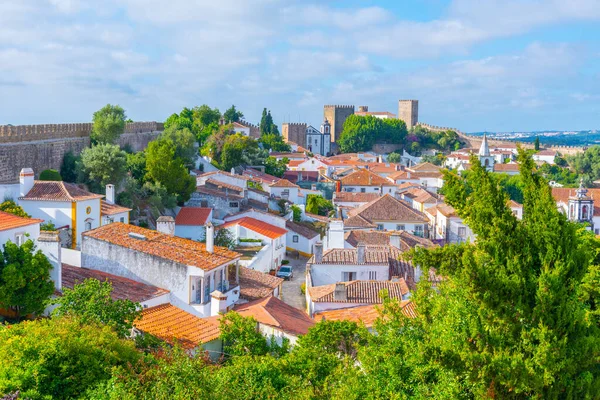 Portekiz 'in Obidos şehrinin Panoraması.