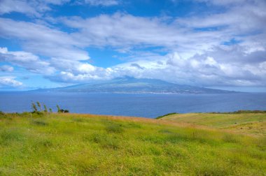 Pico Adası, Faial, Azores, Portekiz 'den.